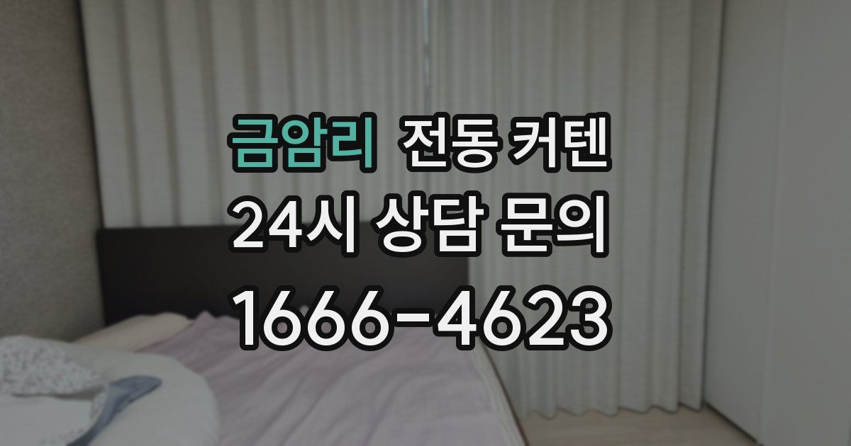 금암리 전동 커텐