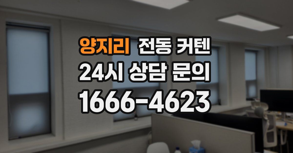 양지리 전동 커텐