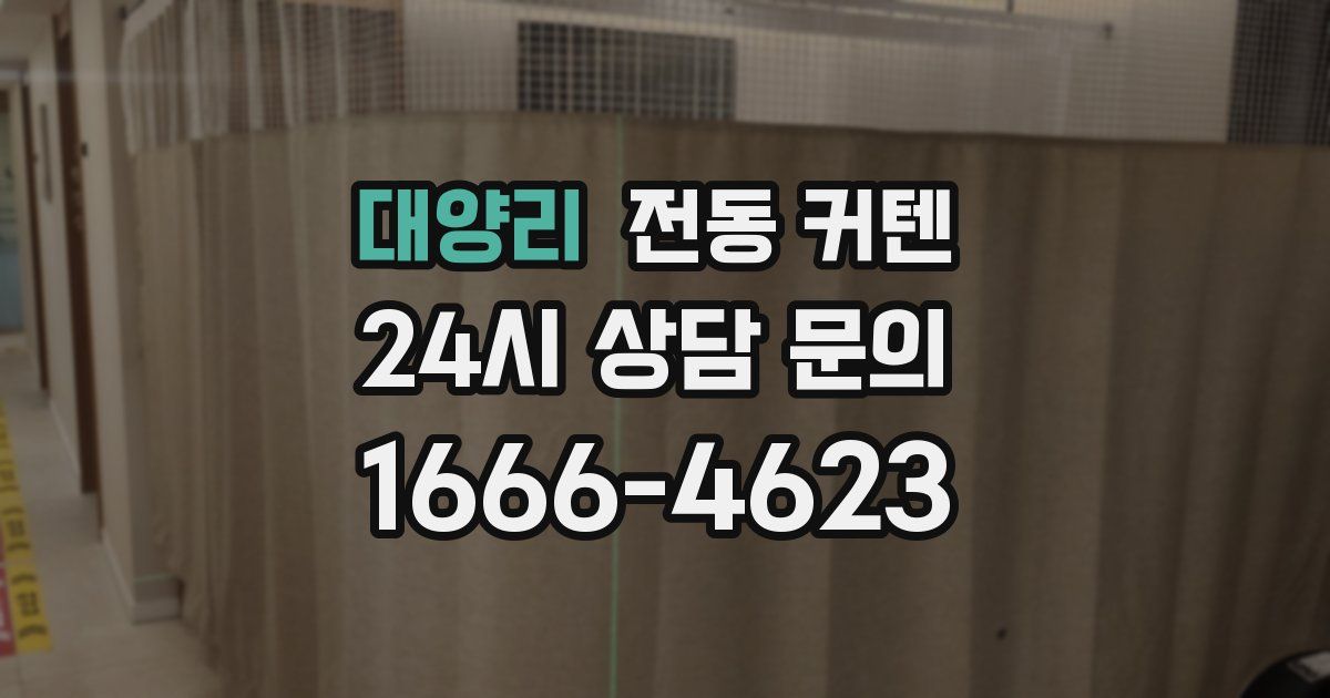 대양리 전동 커텐
