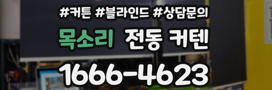 목소리 전동 커텐