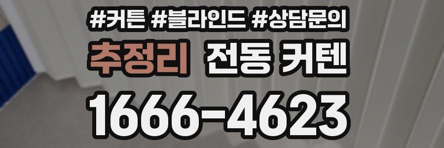 추정리 전동 커텐