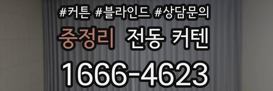 중정리 전동 커텐