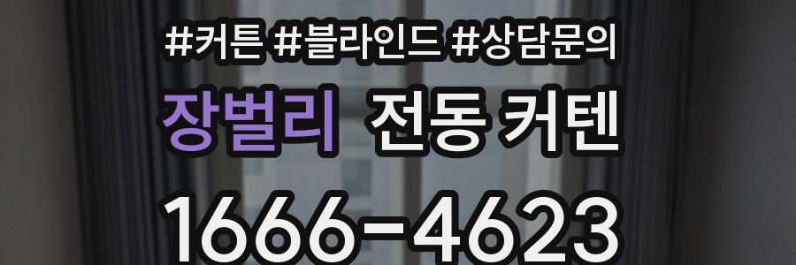 장벌리 전동 커텐