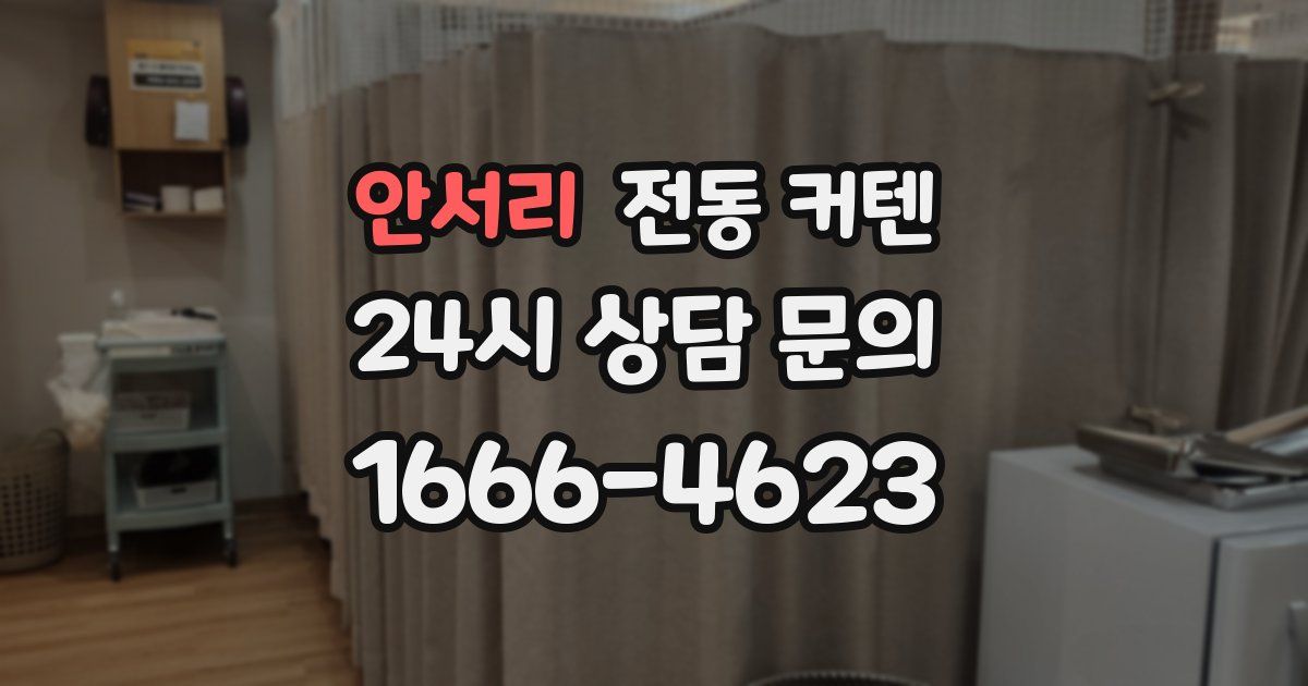 안서리 전동 커텐