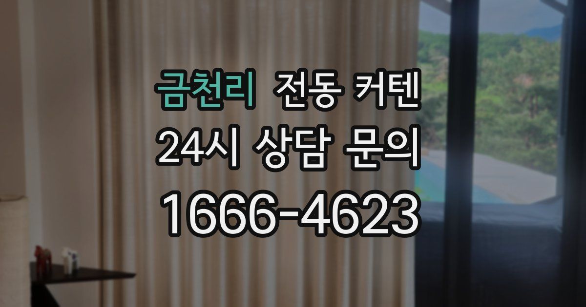 금천리 전동 커텐