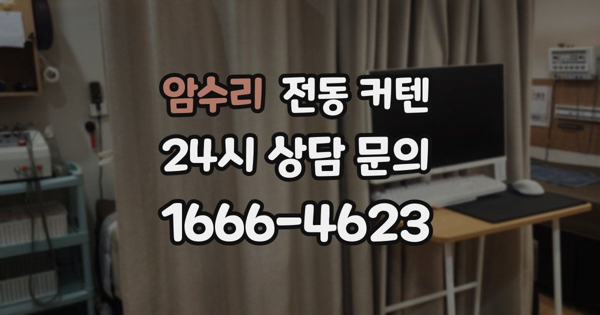 암수리 전동 커텐
