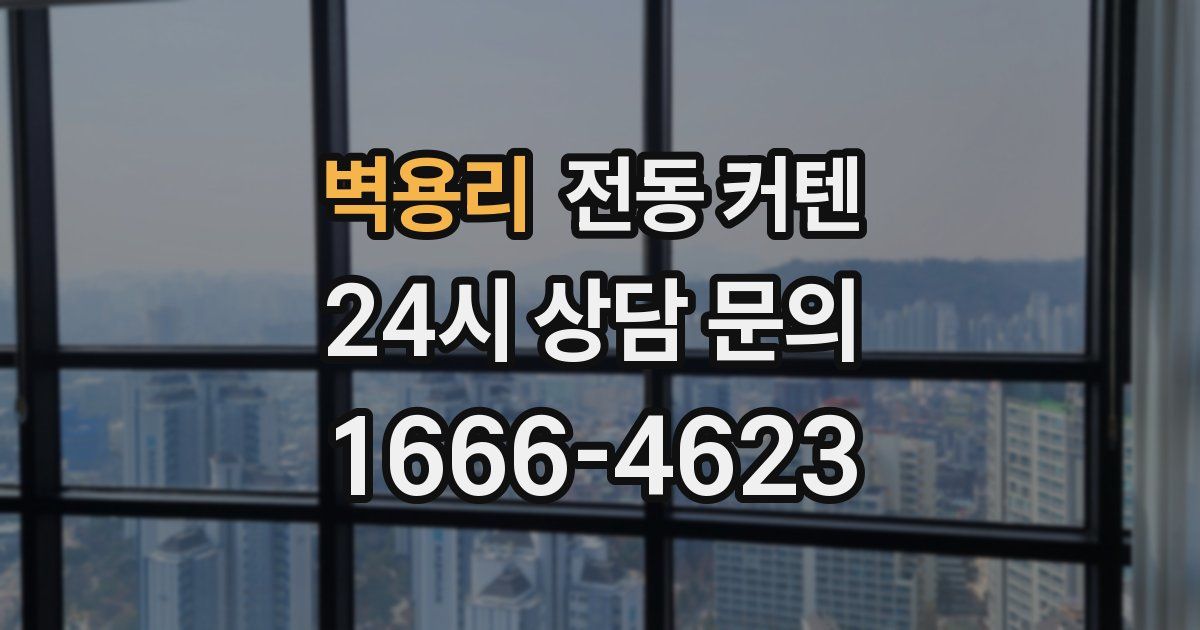 벽용리 전동 커텐
