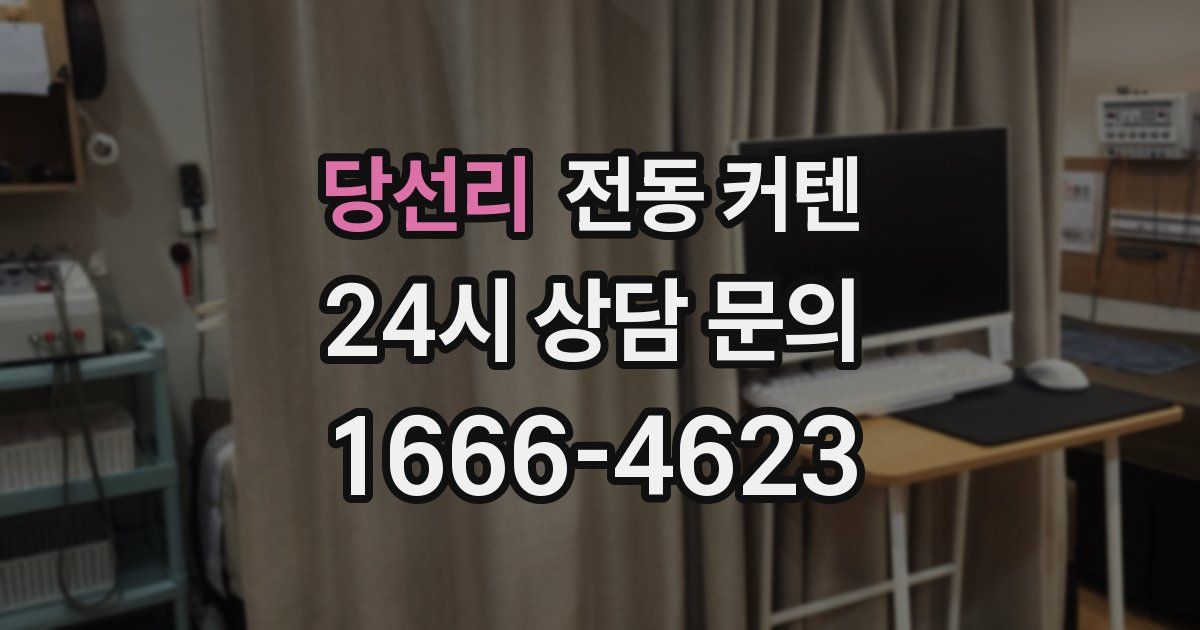 당선리 전동 커텐