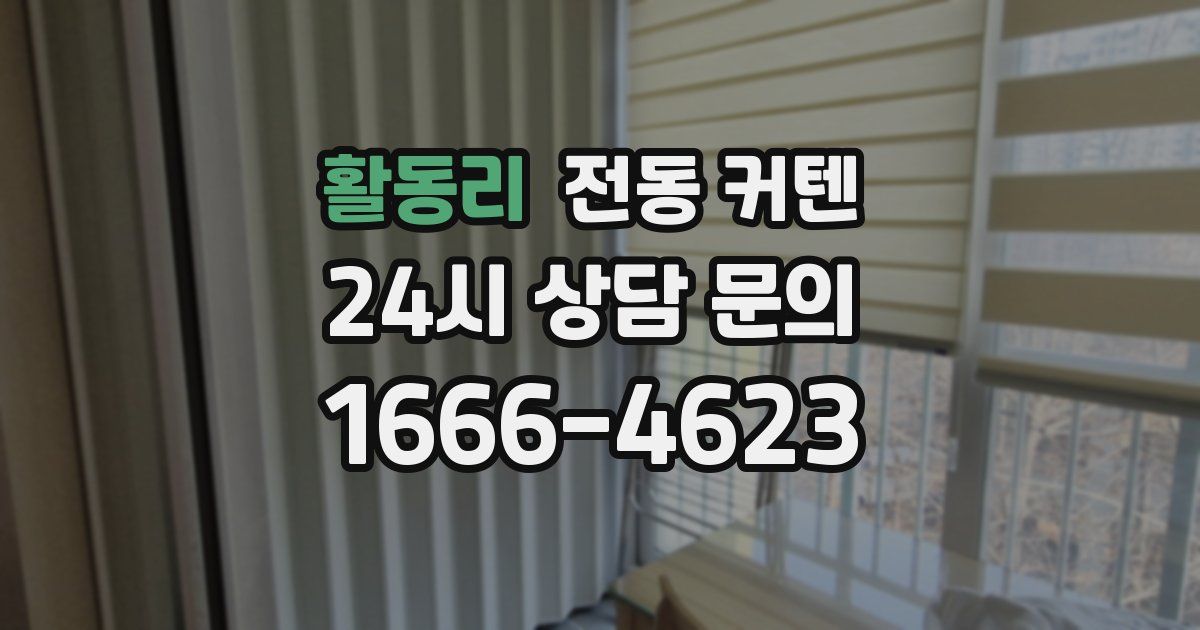 활동리 전동 커텐