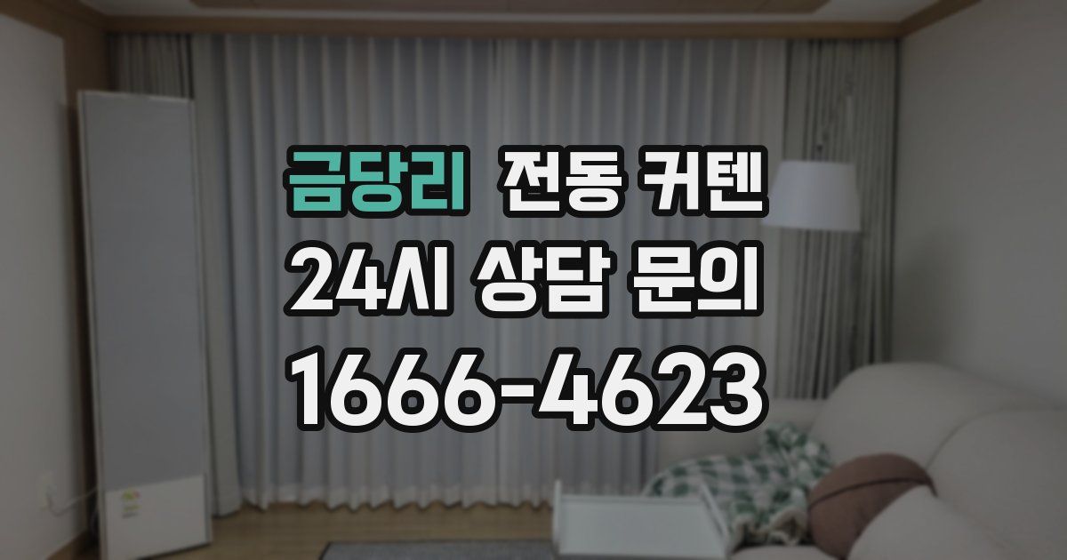 금당리 전동 커텐