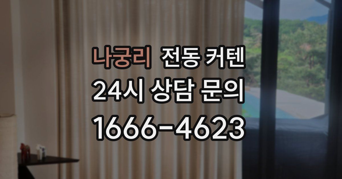 나궁리 전동 커텐