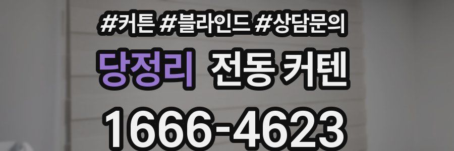 당정리 전동 커텐