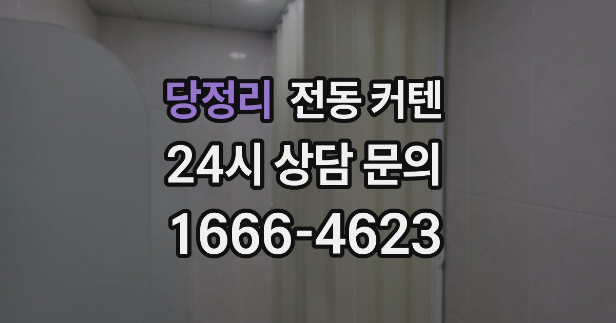 당정리 전동 커텐