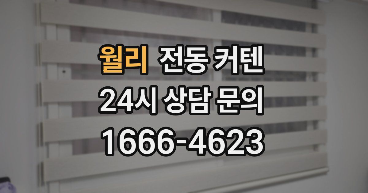 월리 전동 커텐