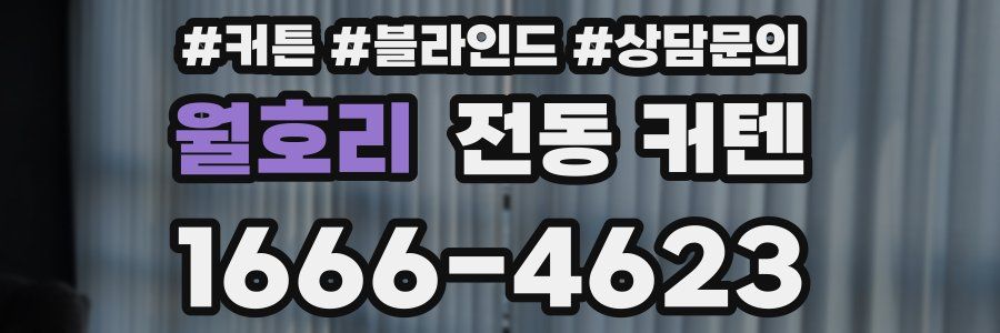 월호리 전동 커텐