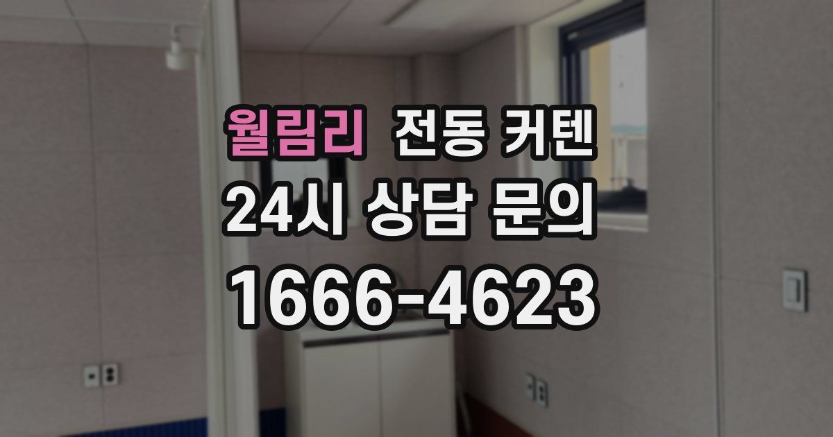 월림리 전동 커텐