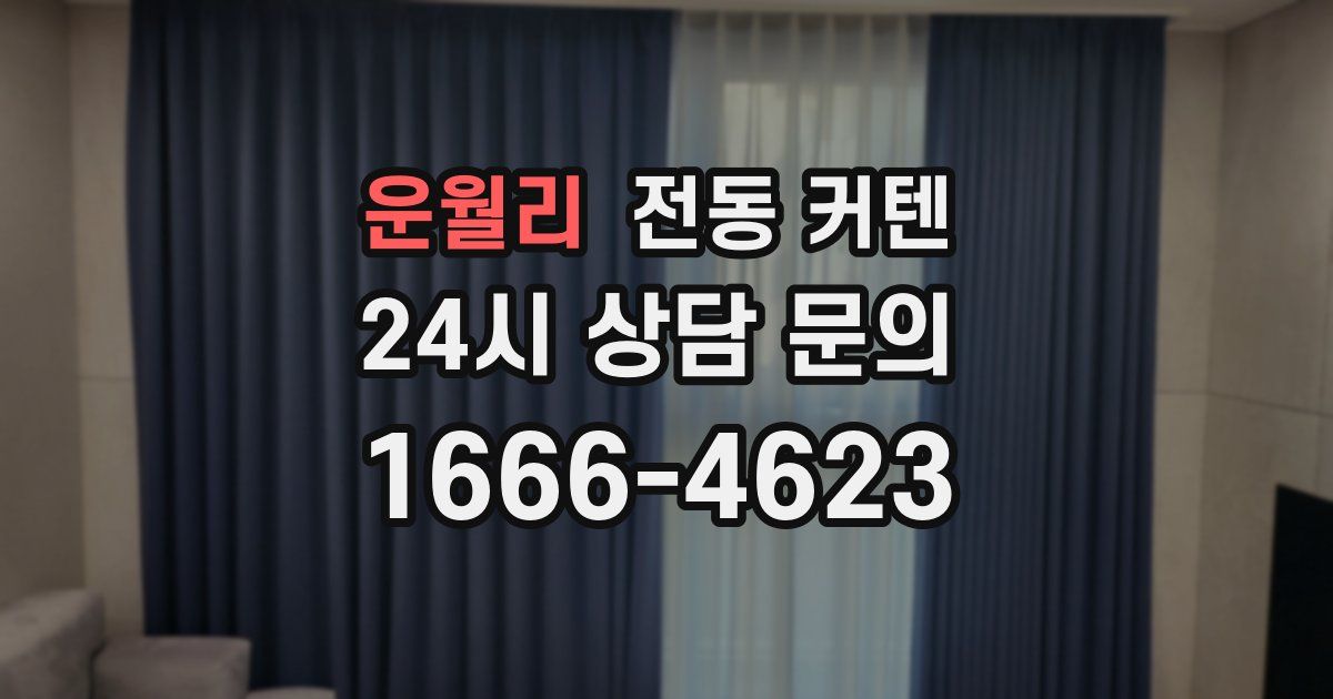 운월리 전동 커텐