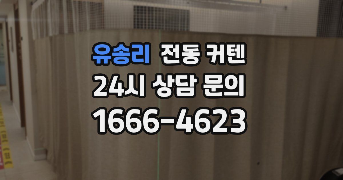 유송리 전동 커텐
