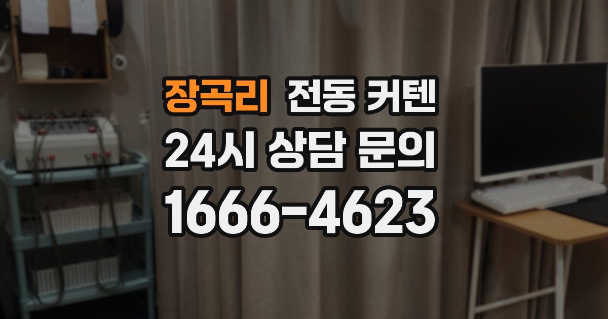 장곡리 전동 커텐