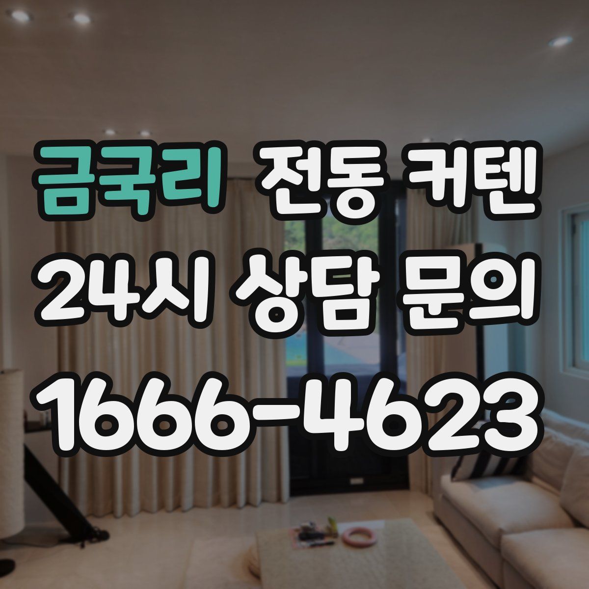금국리 전동 커텐