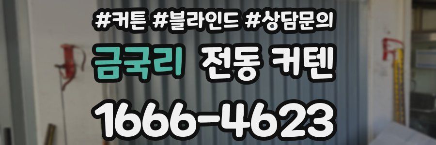 금국리 전동 커텐
