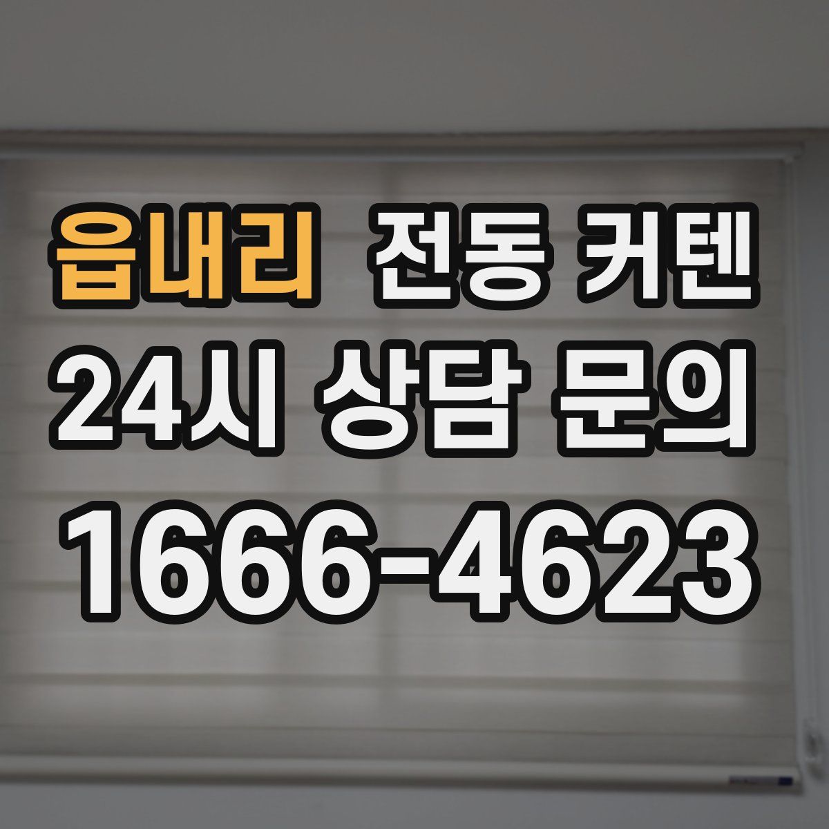 읍내리 전동 커텐