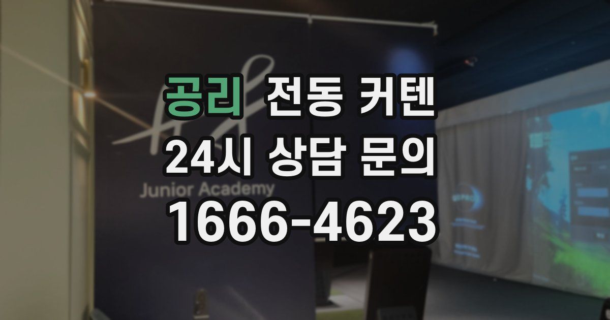 공리 전동 커텐