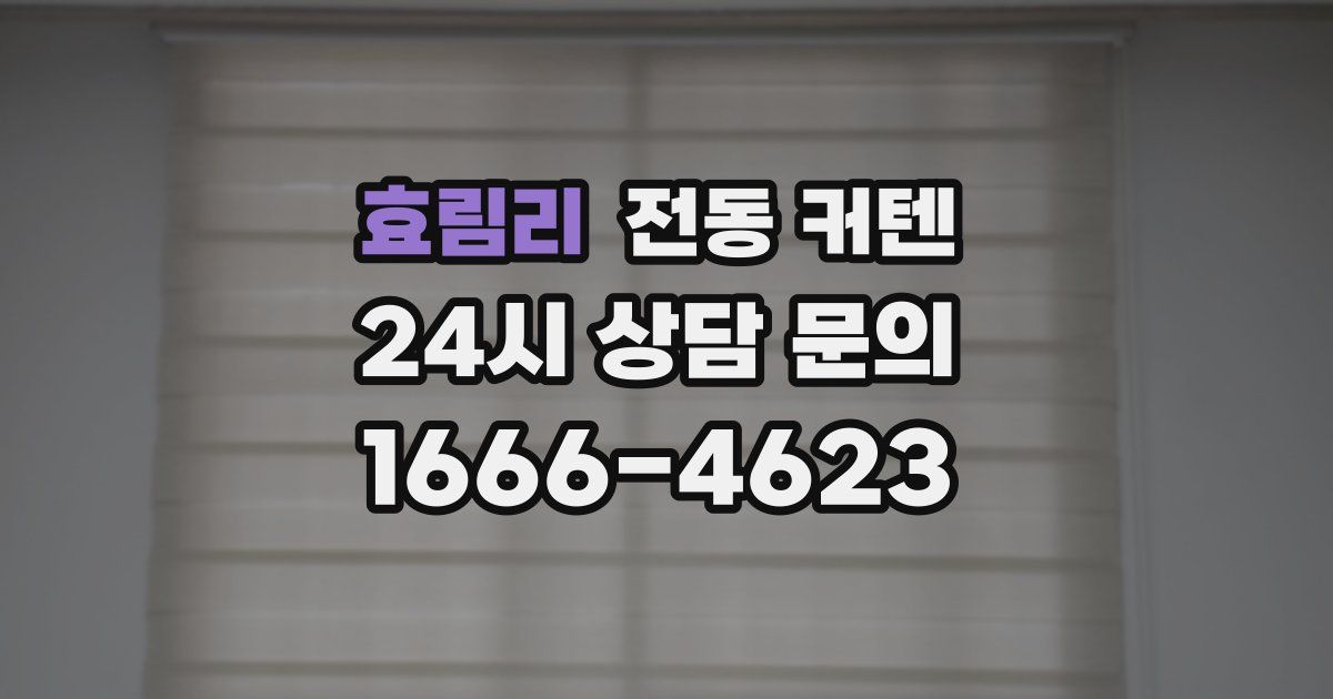 효림리 전동 커텐