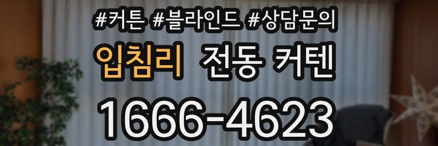 입침리 전동 커텐