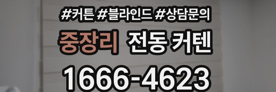중장리 전동 커텐
