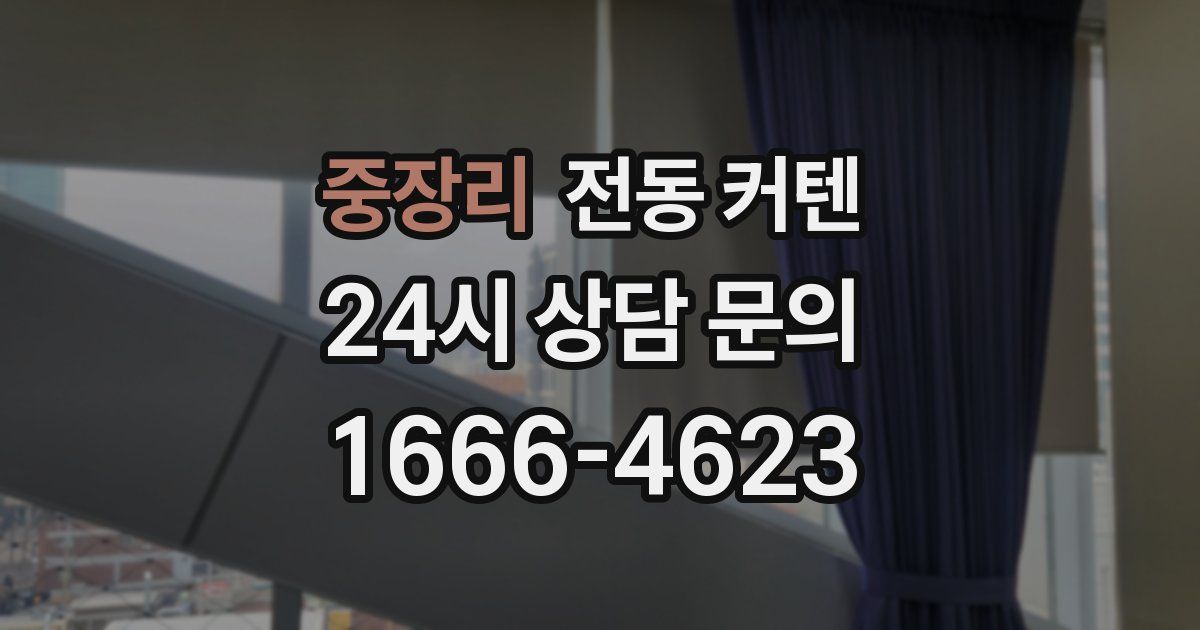 중장리 전동 커텐