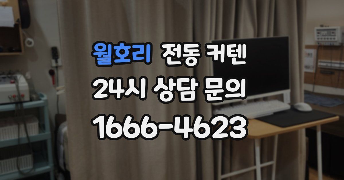 월호리 전동 커텐