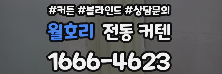 월호리 전동 커텐