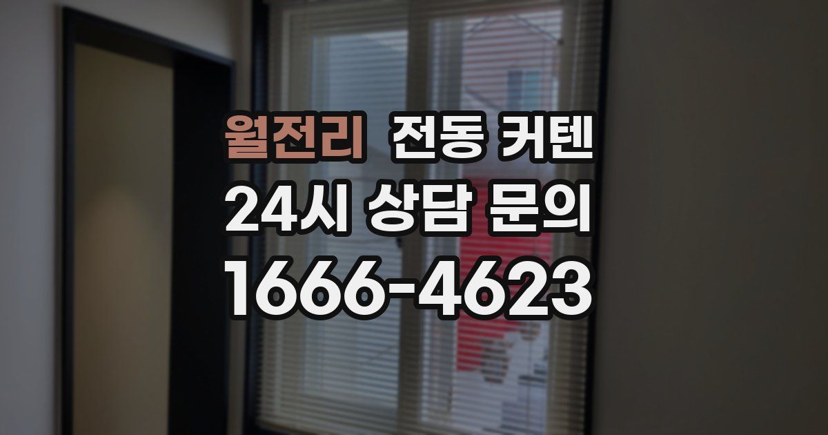 월전리 전동 커텐