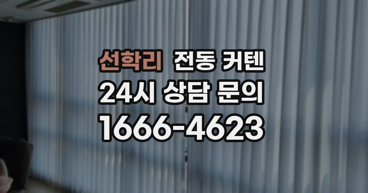 선학리 전동 커텐