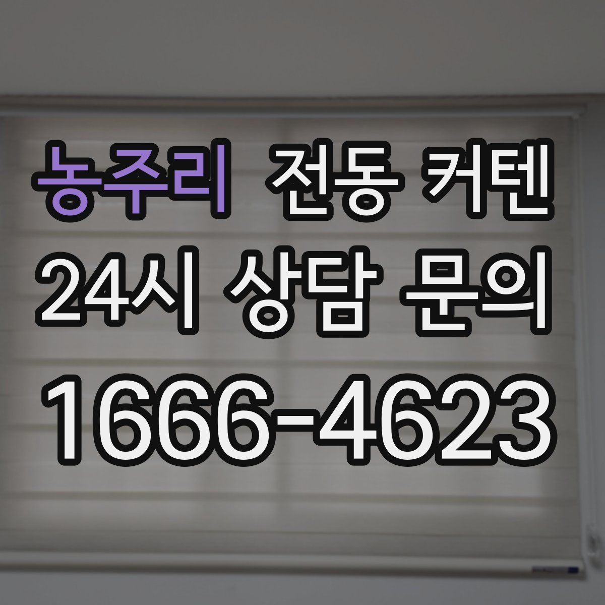 농주리 전동 커텐
