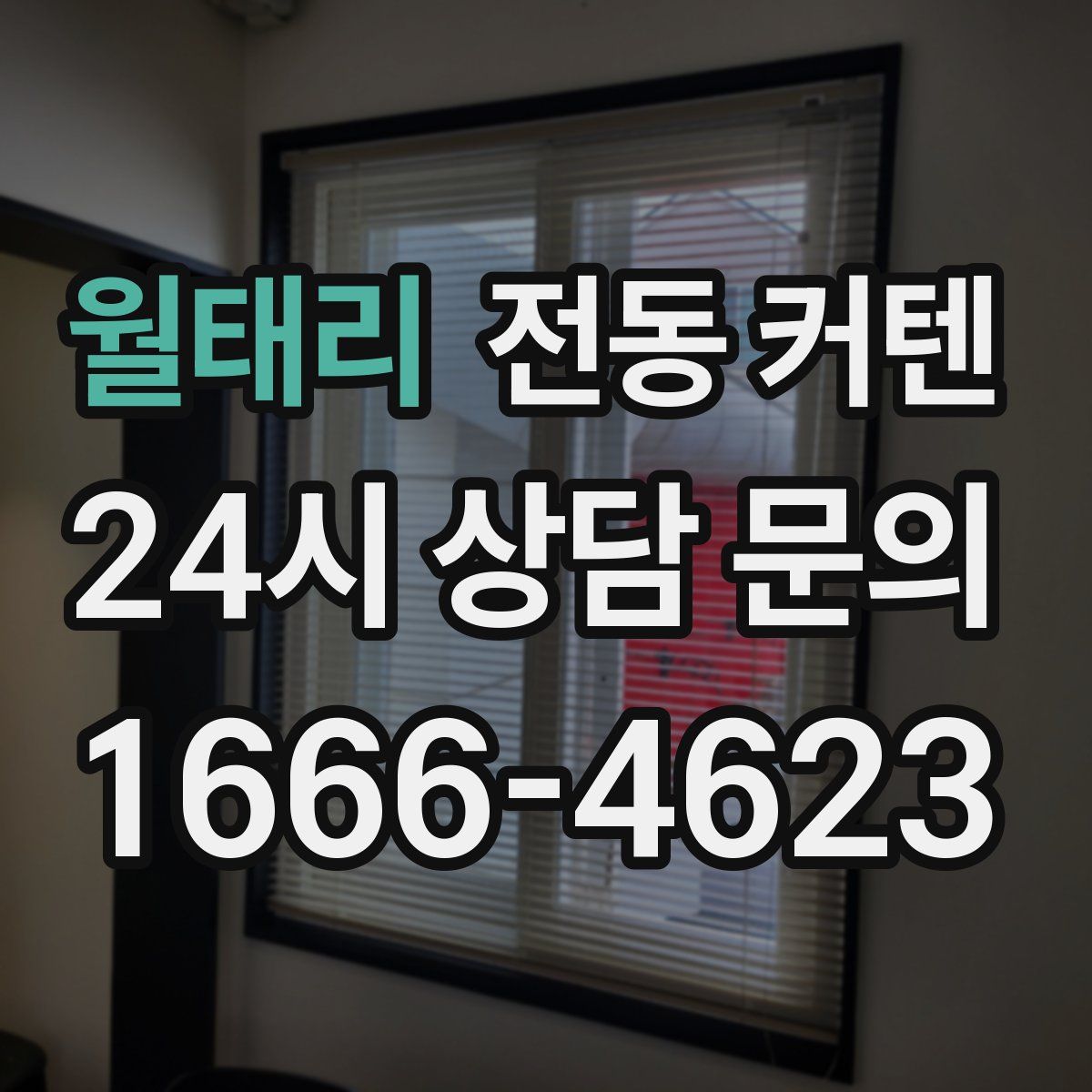 월태리 전동 커텐