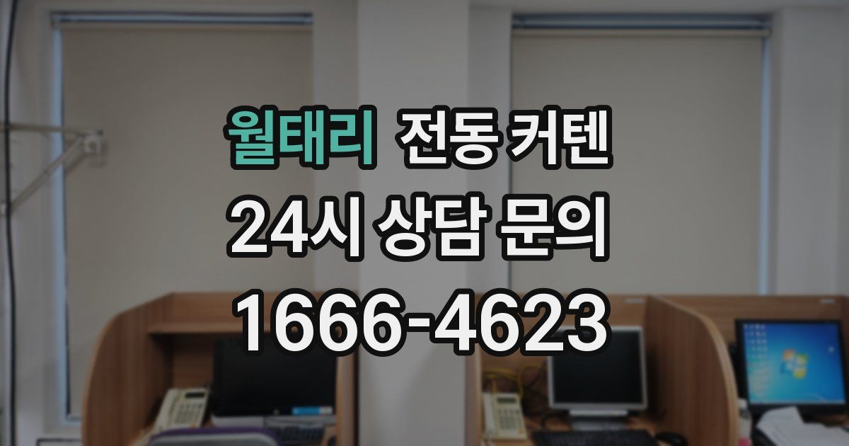 월태리 전동 커텐