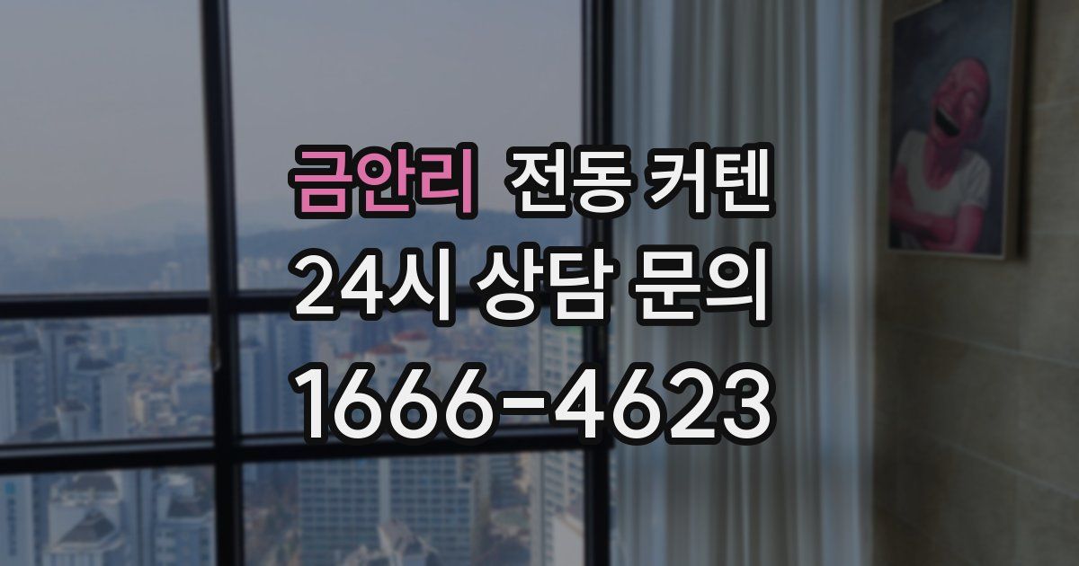 금안리 전동 커텐