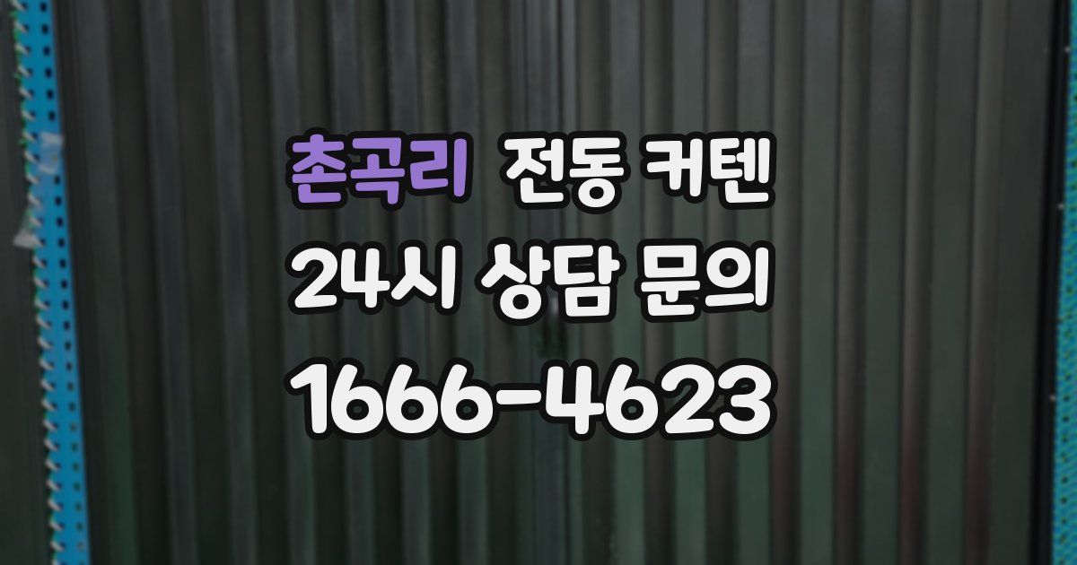 촌곡리 전동 커텐