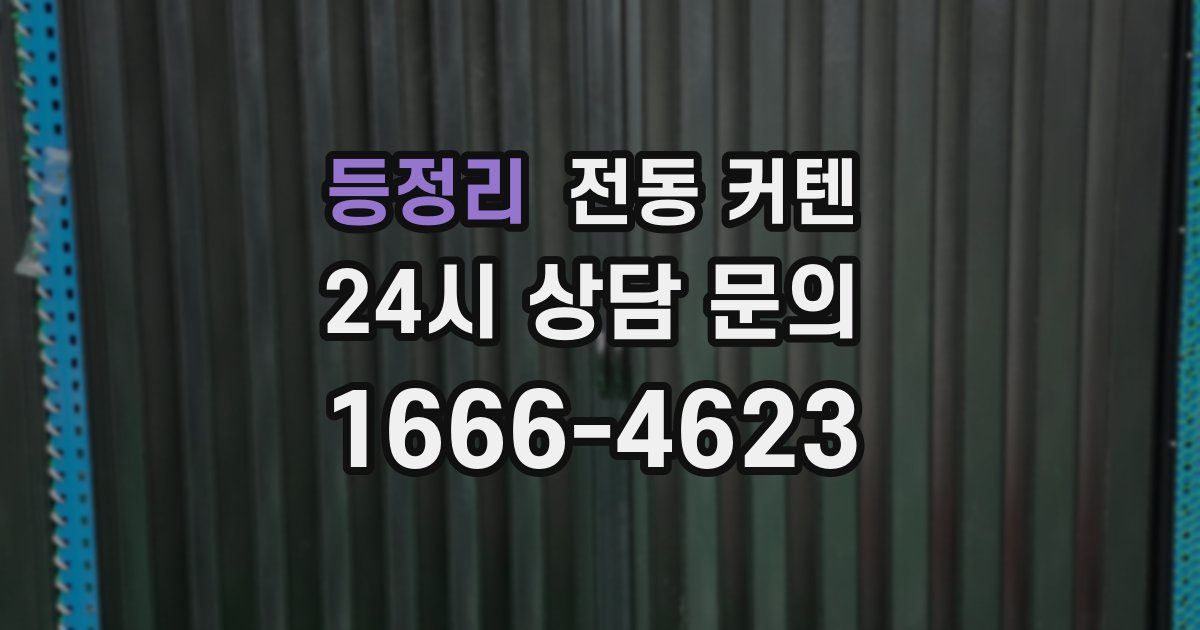 등정리 전동 커텐