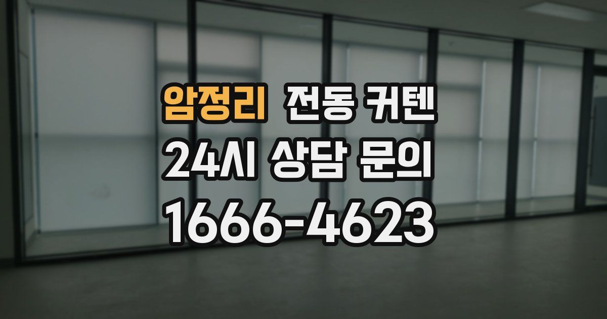 암정리 전동 커텐
