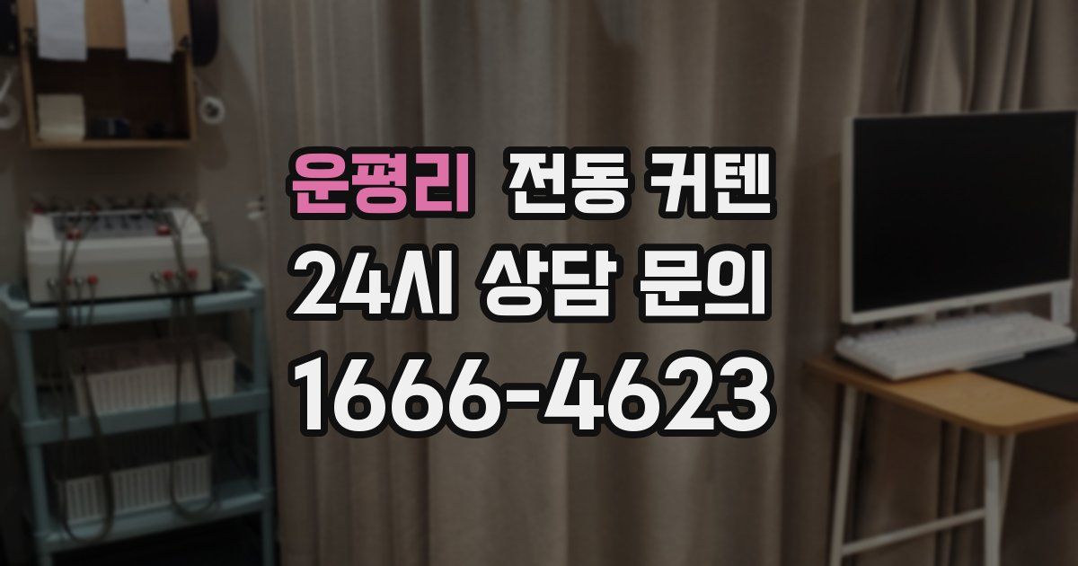 운평리 전동 커텐