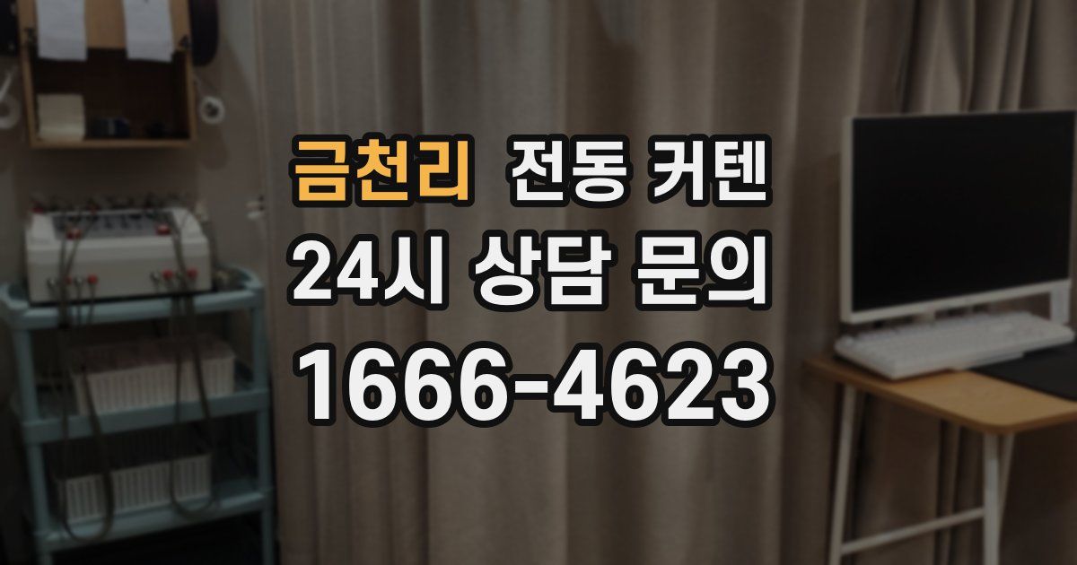 금천리 전동 커텐