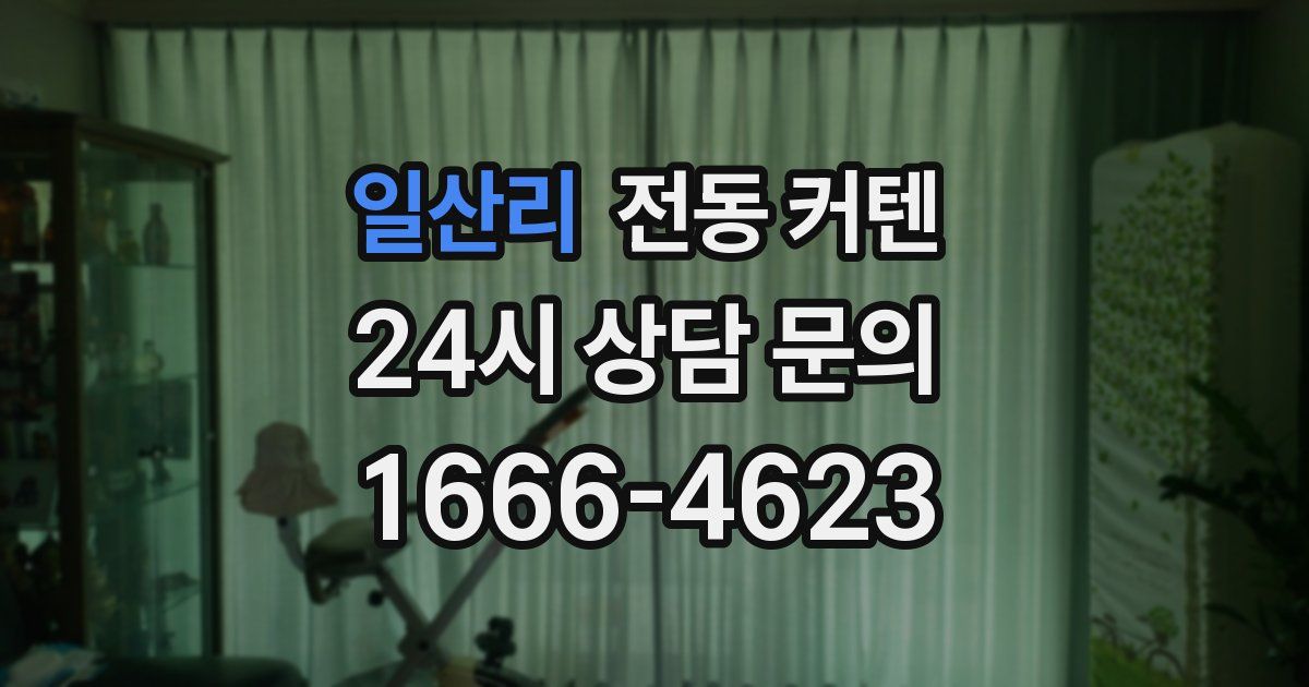 일산리 전동 커텐