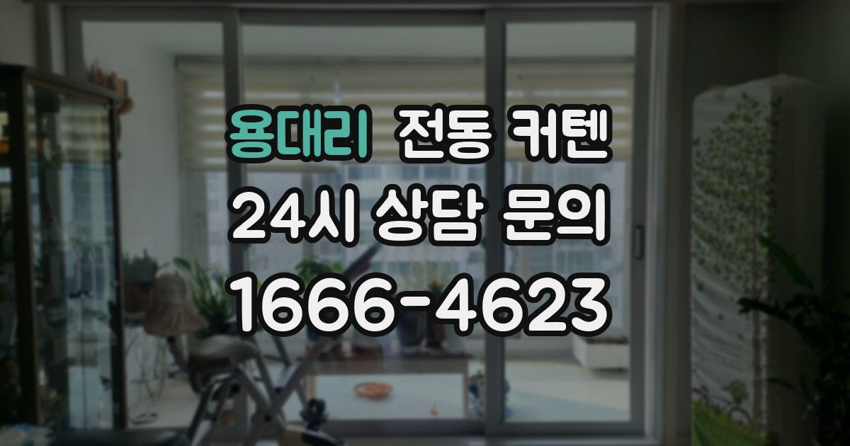 용대리 전동 커텐