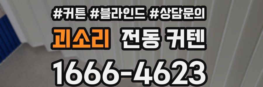 괴소리 전동 커텐