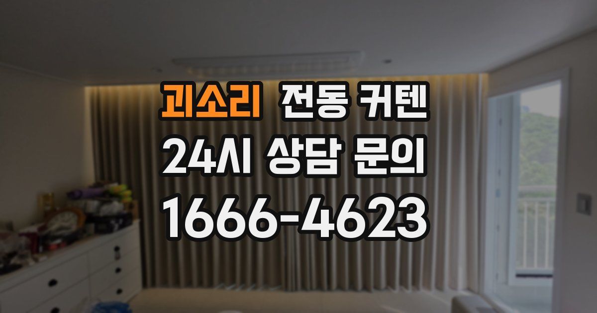 괴소리 전동 커텐