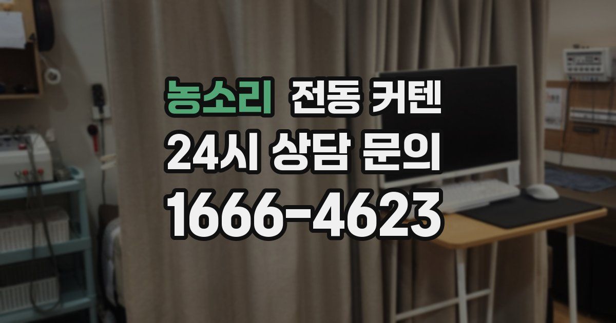 농소리 전동 커텐