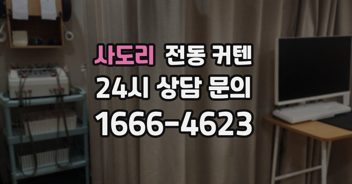 사도리 전동 커텐